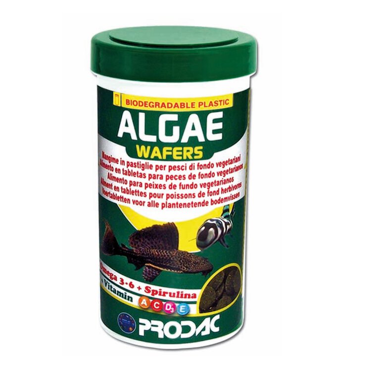 Prodac ALGAE WAFER comida para Axolotes