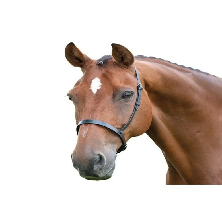 Blenheim Muserola de Cuero Negro para caballos ponys, , large image number null