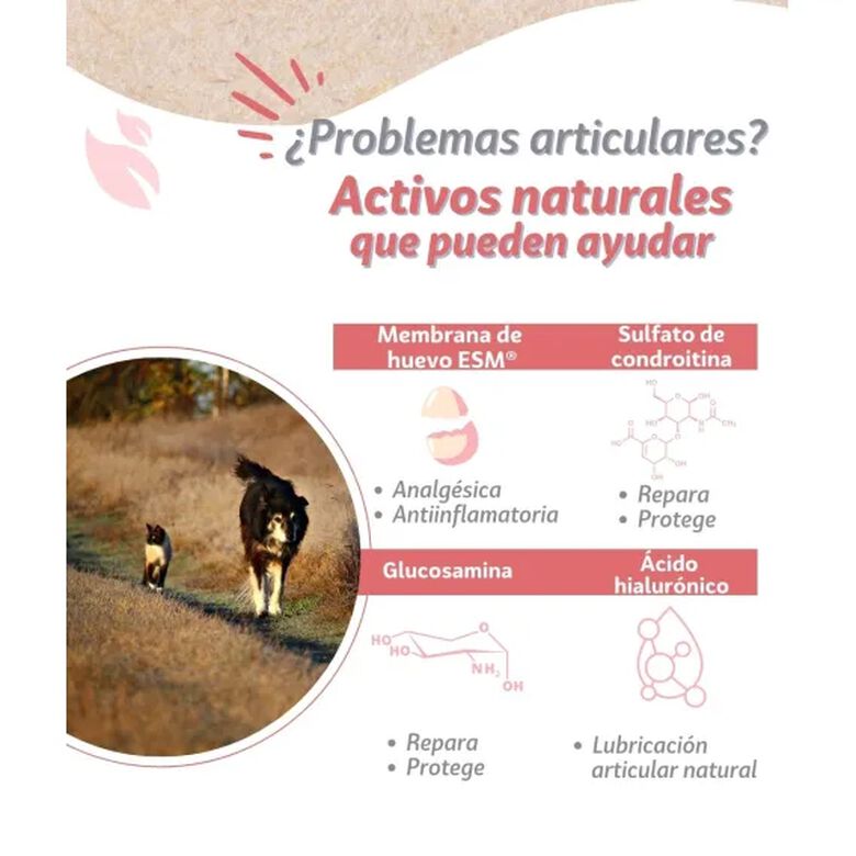 Kowi Nature Condroprotector natural KOWI FLEX plus drops para perros y gatos thumbnail
