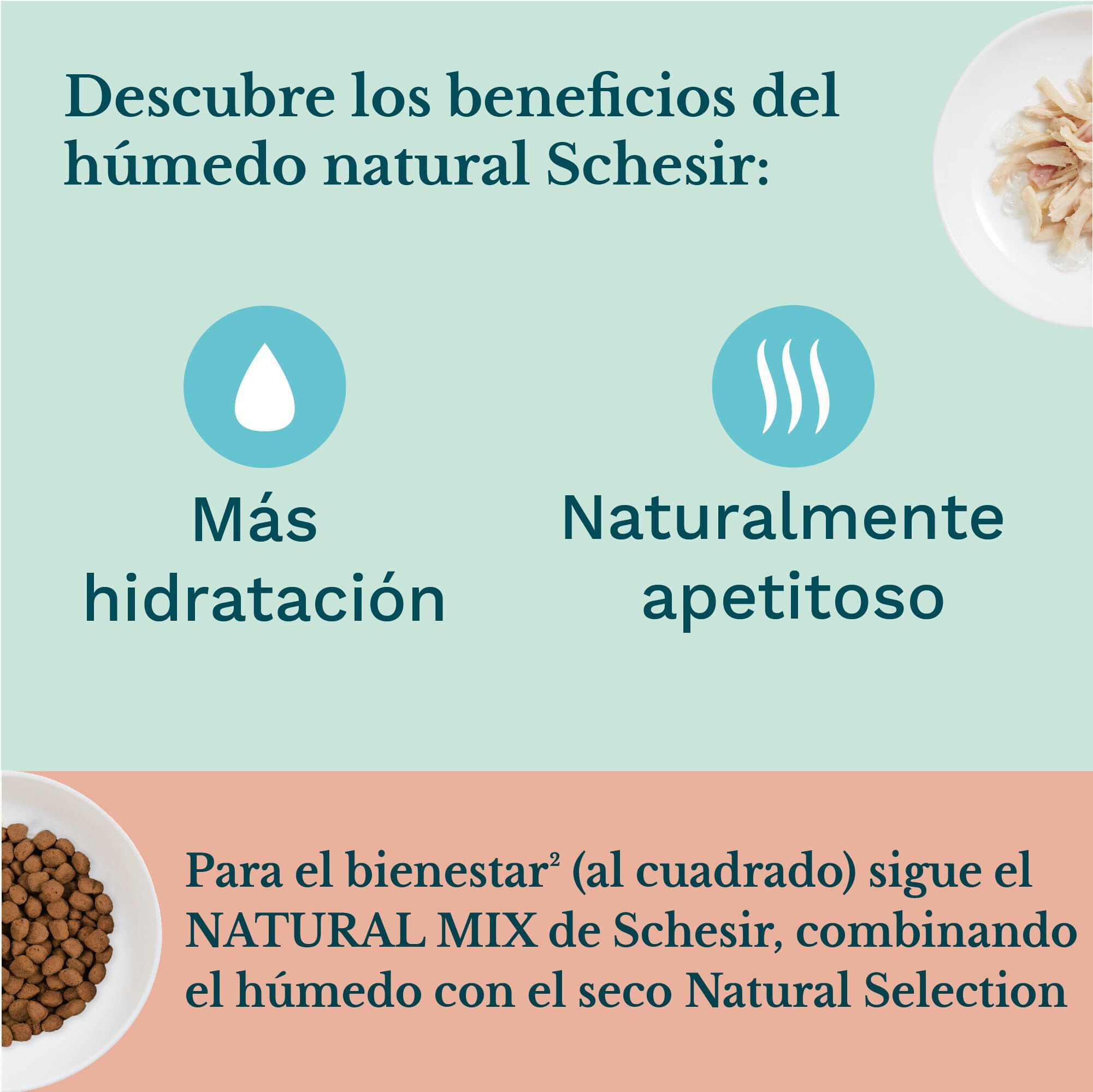 Schesir Kitten pollo con aloe latas para gatitos thumbnail