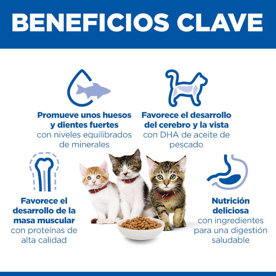 7 kg Hill's Science Plan Kitten Pollo pienso para gatos, , large Imagen numero 4