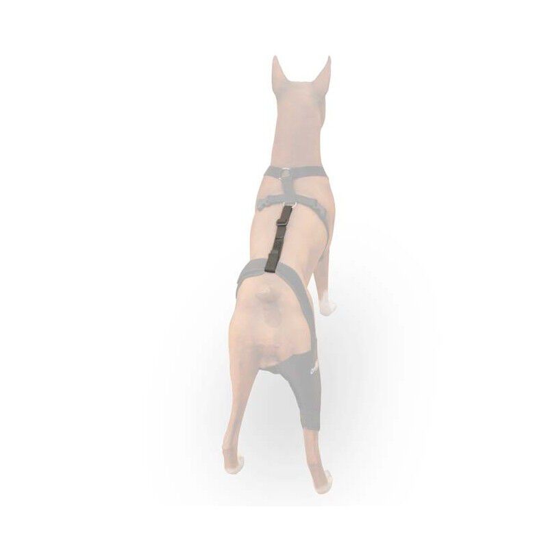 Sujeci&oacute;n Lumbar para Protector de Rodilla Canino, Cinta y Arn&eacute;s, , large Imagen numero 3