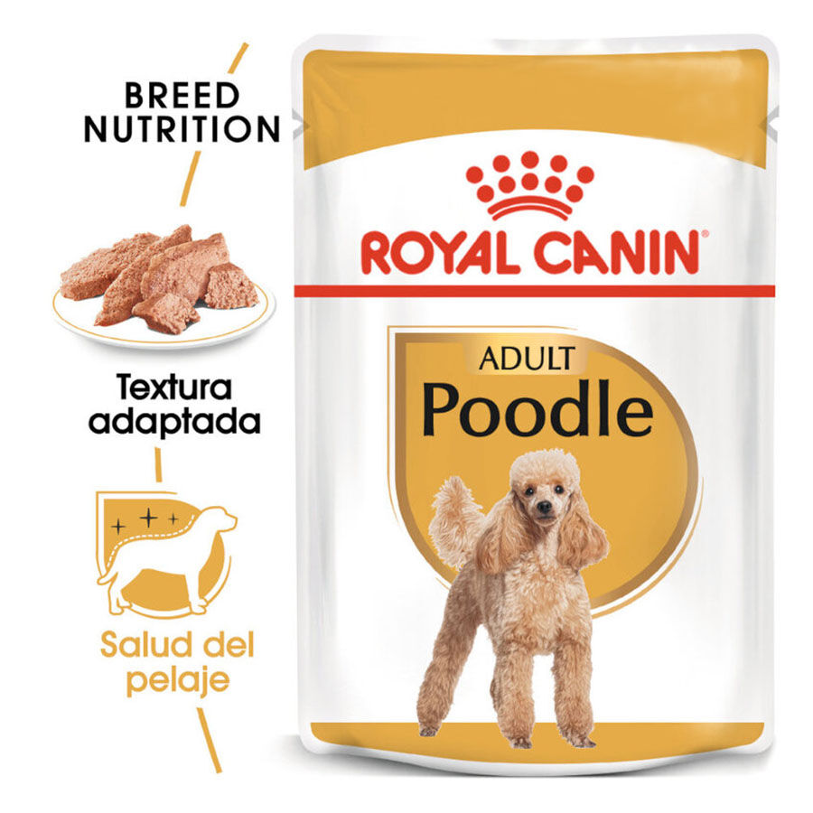 Royal Canin Adult Poodle Paté sobre para perros thumbnail