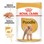 85 g Royal Canin Adult Poodle Paté sobre para perros, , large indicador imagen numero 1