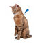 Beaphar Calming Pipetas Relajantes para gatos, , large indicador imagen numero 3