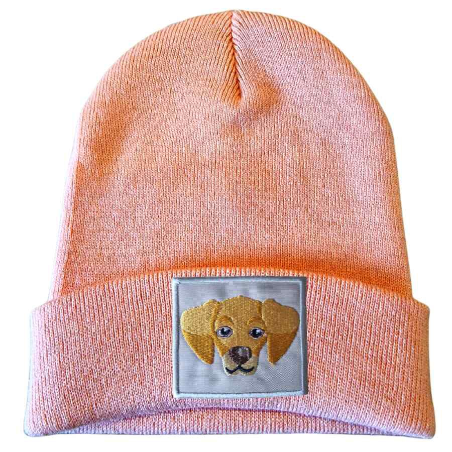 Individual gorro perro golden retriever