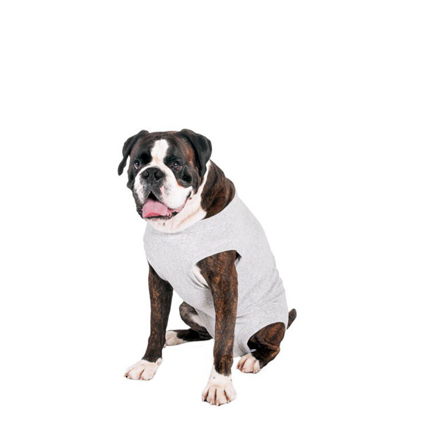 Flamingo Body Gris para perros thumbnail