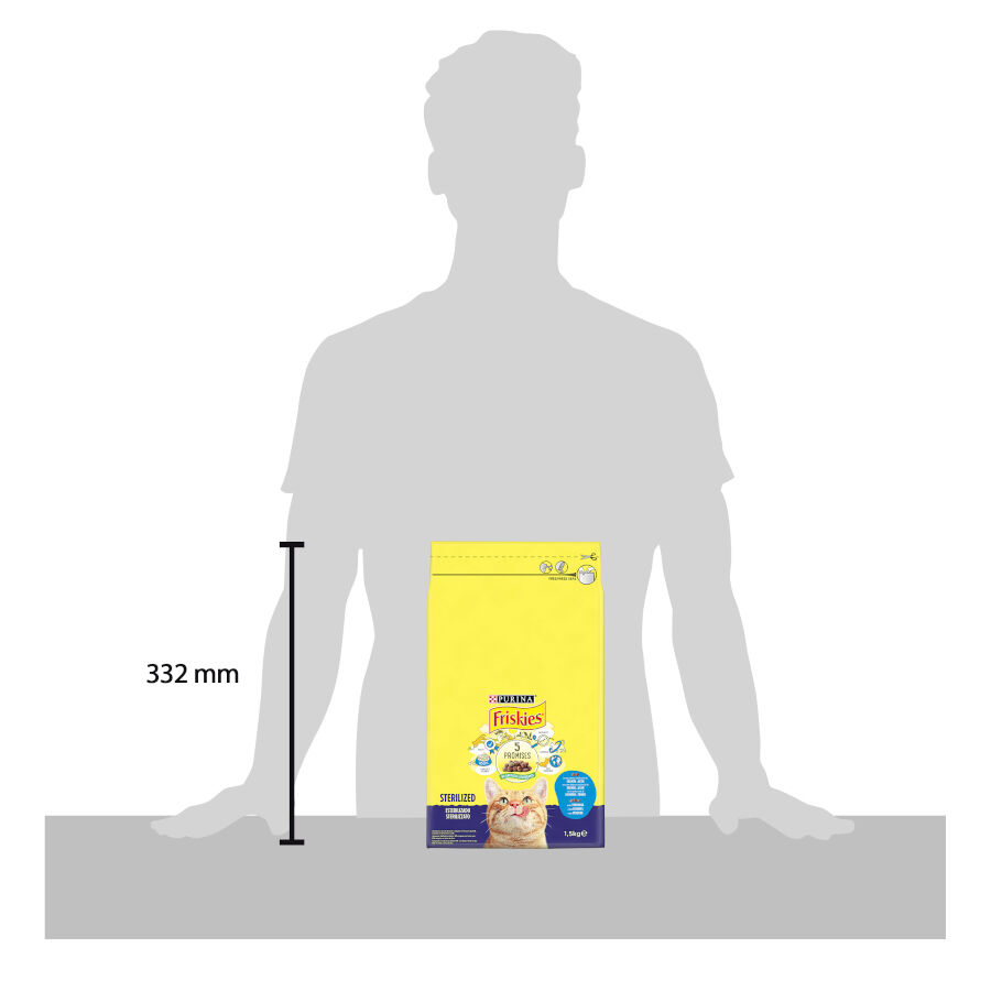 Purina Friskies Sterilized Pienso para gatos con salmón, atún y verduras thumbnail