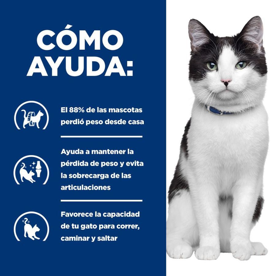12 sobres x 85 g Hill's Prescription Diet Metabolic + Mobility Pollo Sobres para gatos - Multipack, , large Imagen numero 5
