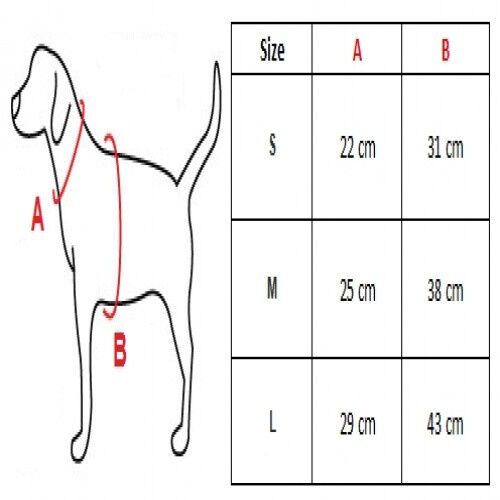 Conjunto arn&eacute;s y correa Waffle color Azul, , large Imagen numero 3