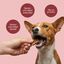 dr.bimix Galletas de 93% Ternera y 4% Zanahoria para Perros | Premio Natural Rico en Prote&iacute;na, , large indicador imagen numero 2