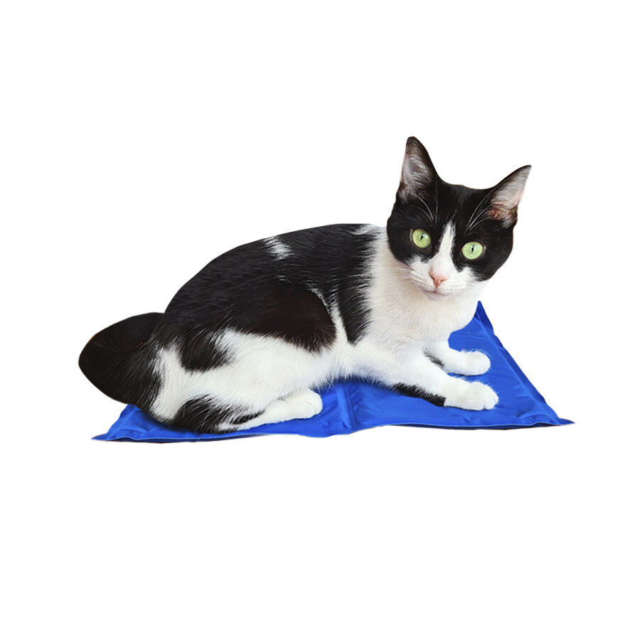 Tiendanimal manta refrescante online
