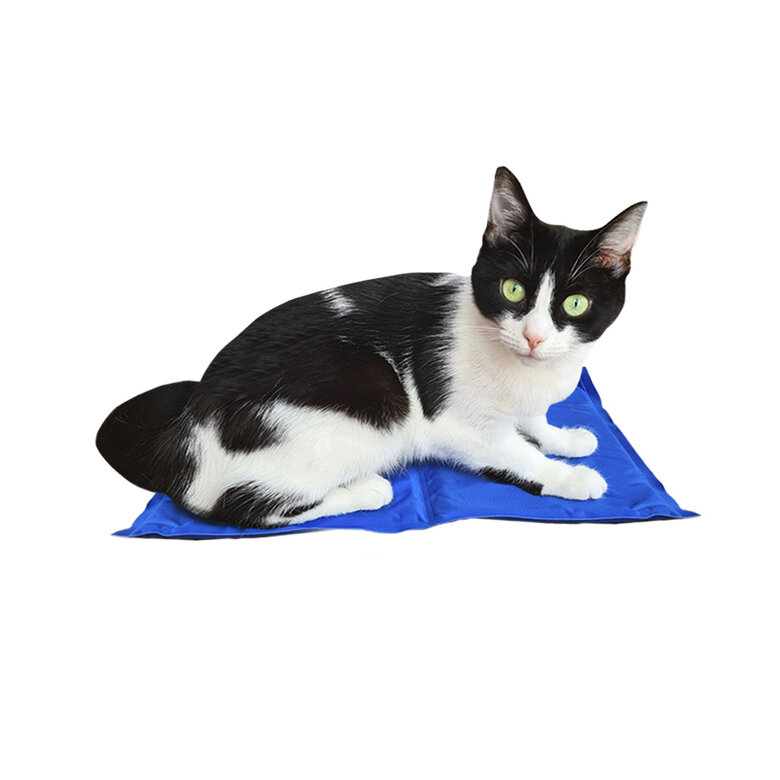 Gatos Esterilla Refrigerante Para Perros Kiwoko Manta Refrescante