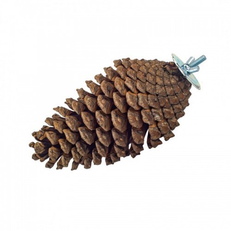 Piña con soporte para loros color marrón, , large image number null