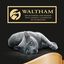 4 sobres x 85 g Sheba Selezione Carnes Salsa en Bolsita para Gatos , , large indicador imagen numero 7