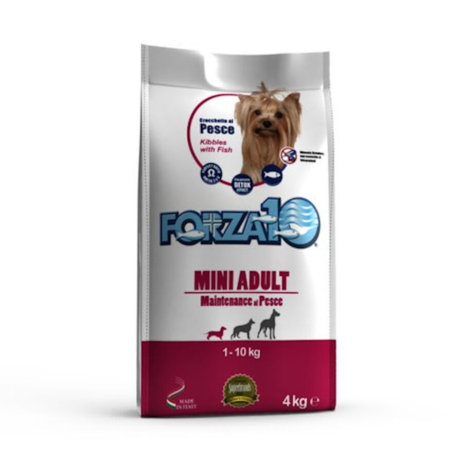 Forza 10 Mini Mantenimiento Pescado pienso para perros