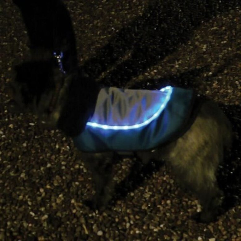 Rosewood Chaqueta con Luz LED Azul y Negra para perros, , large image number null