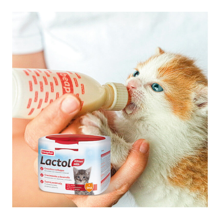 Beaphar Lactol Leche en polvo para gatitos thumbnail