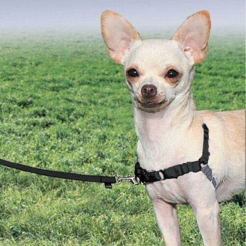 Arnes Easy Walk para perros color Negro