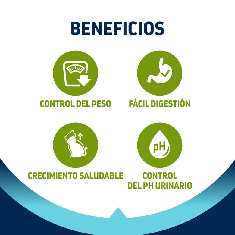 Advance Junior Sterilized pienso para gatos thumbnail