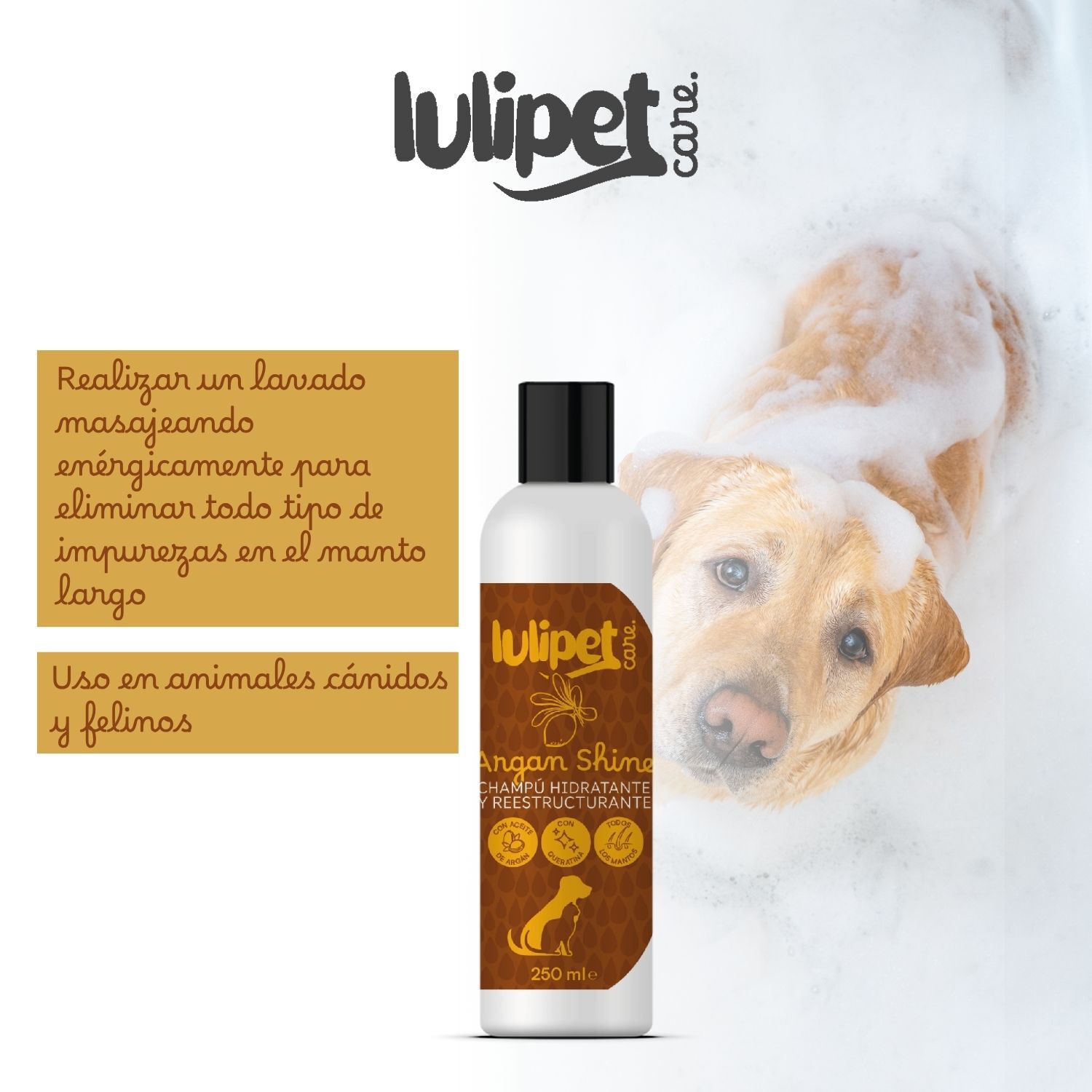 Champú Argán Shine- champú hidratante y reestructurante 250 ml thumbnail