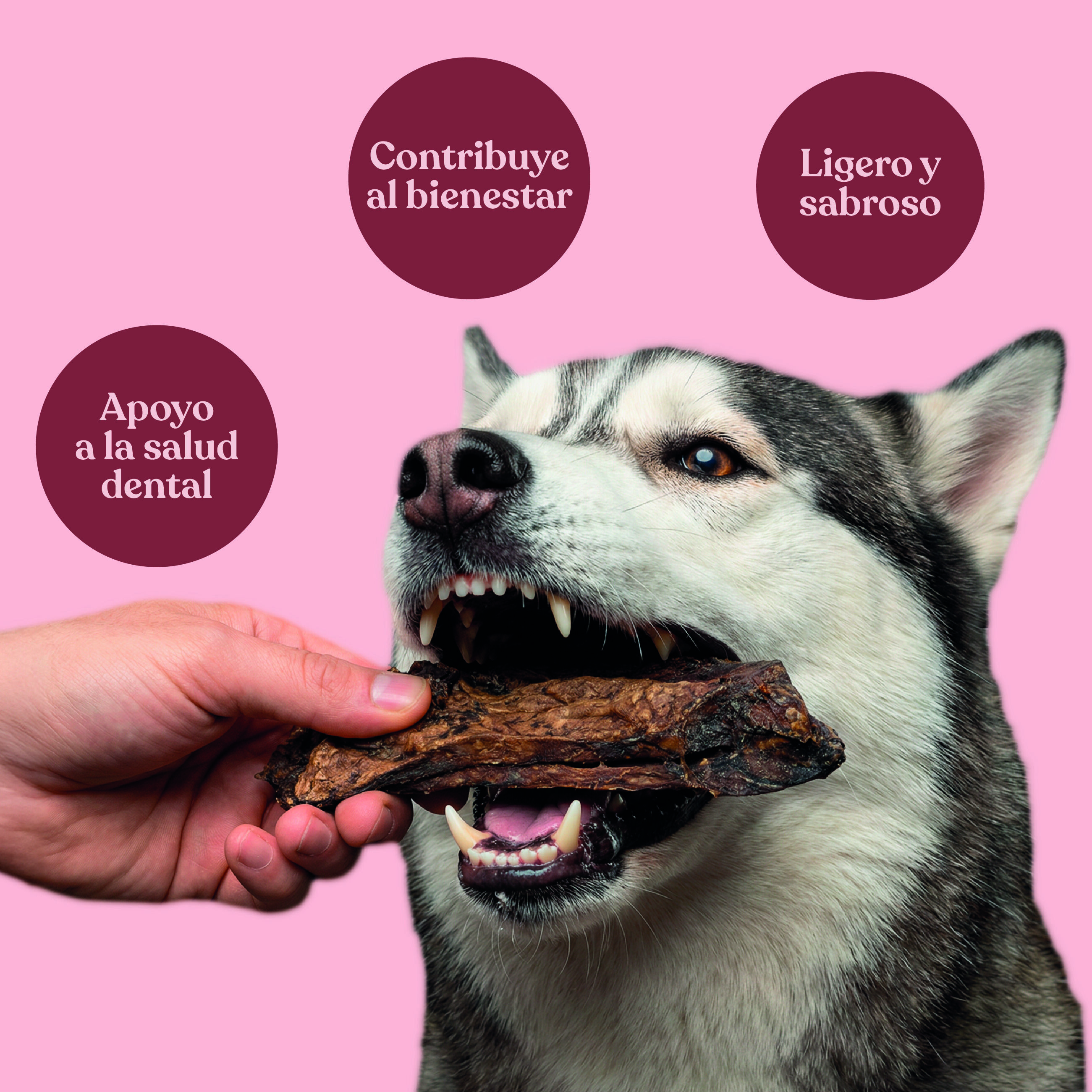 dr.bimix Pulm&oacute;n de Ternera para Perros | Snack Natural Rico en Prote&iacute;na, , large Imagen numero 3