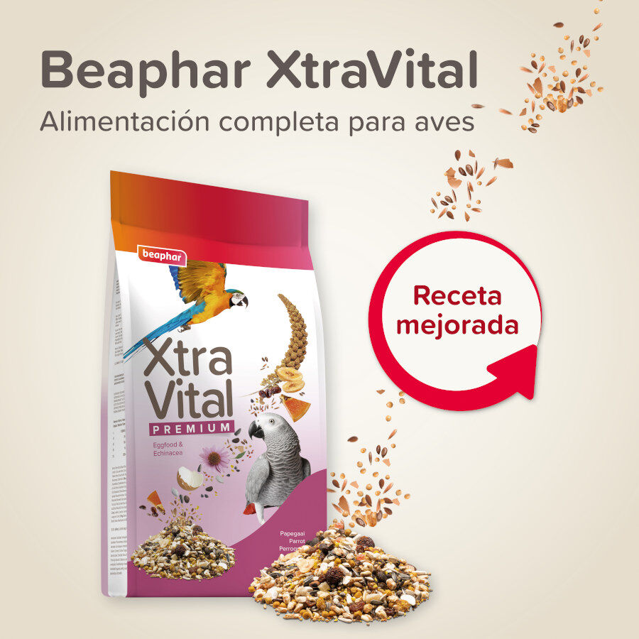 Beaphar XtraVital Premium Loros alimento para pájaros thumbnail