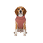 Gotoo Chaqueta Rosa para perros, , large indicador imagen numero 7
