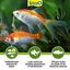 Tetra Pond Medifin Medicina para peces, , large indicador imagen numero 2