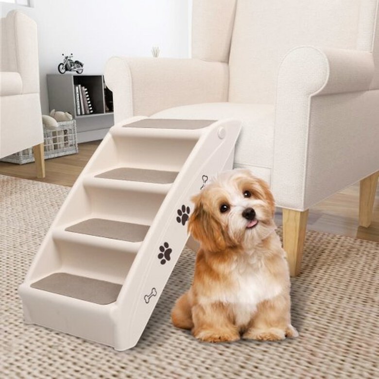 Escalera de acceso al sofá para perros color Blanco, , large image number null