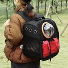 PawHut mochila trasportín para gatos, , large image number null