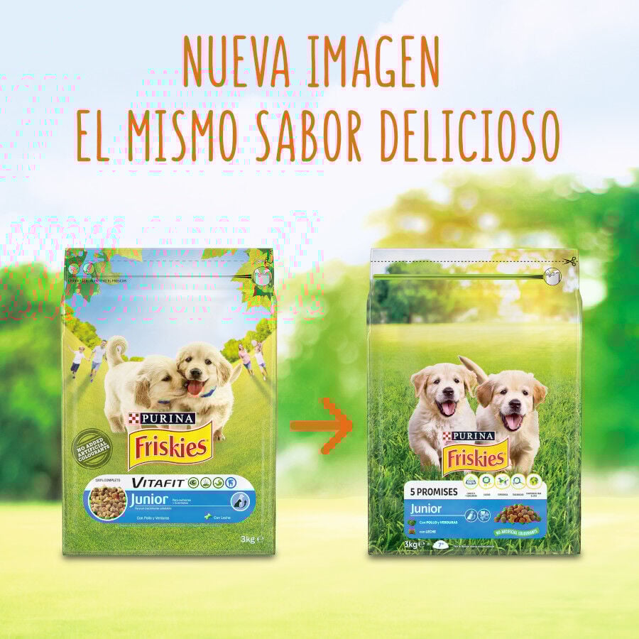 Friskies Junior Pollo y Verduras pienso para perros thumbnail