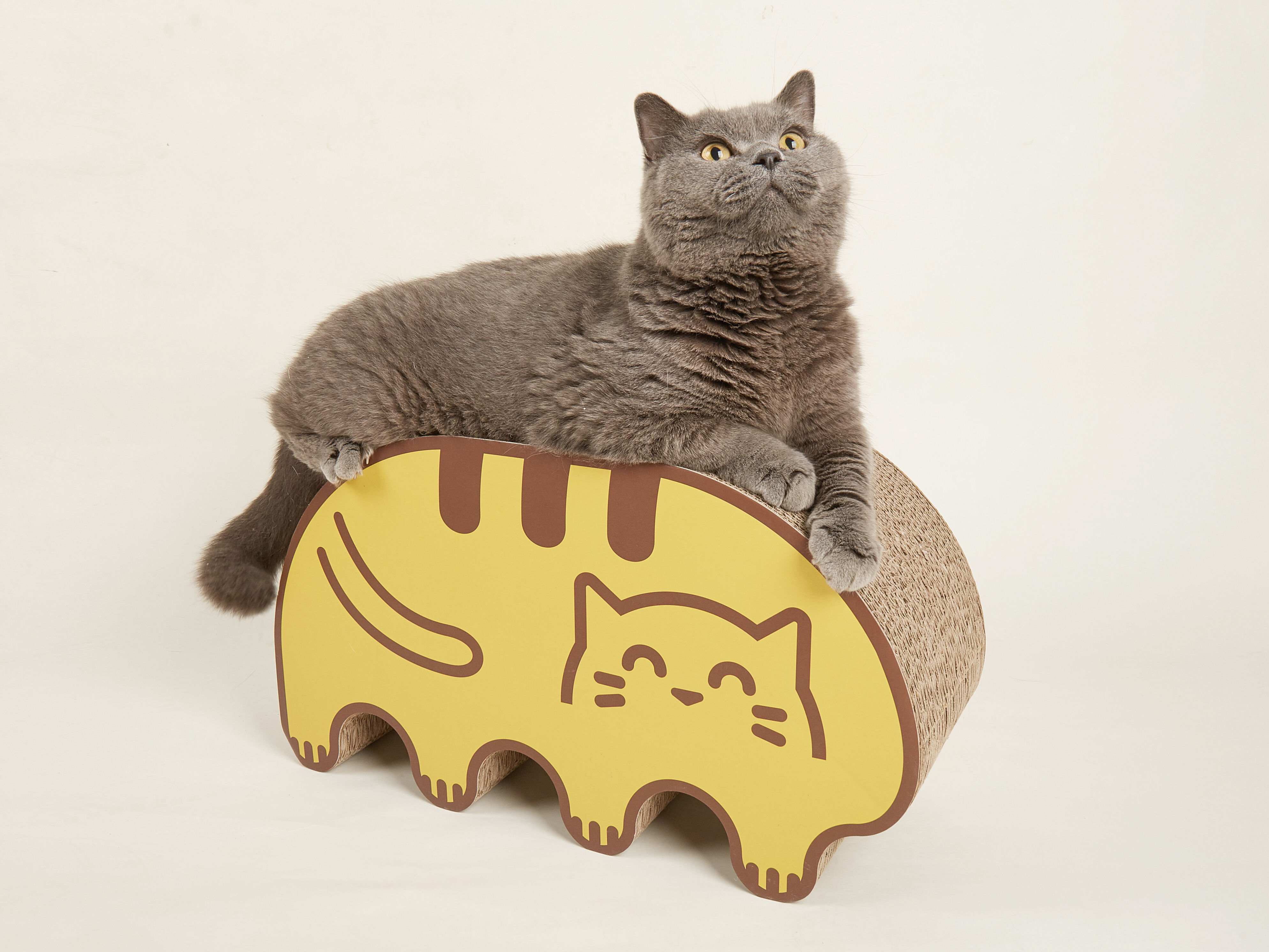 FOFOS | Rascador de Cart&oacute;n Amarillo - Para Gato, , large Imagen numero 2