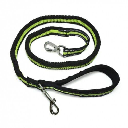 Correa Daonly para perros color Negro, , large Imagen numero 3