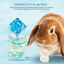 Nobleza - Alfombrilla Refrescante para Hámster, Almohadilla de Enfriamiento para Conejos, Placa De Refrigeración Para Conejito, Pequeños Animales Enfriamiento Estera Cama (30*30CM), , large indicador imagen numero 4
