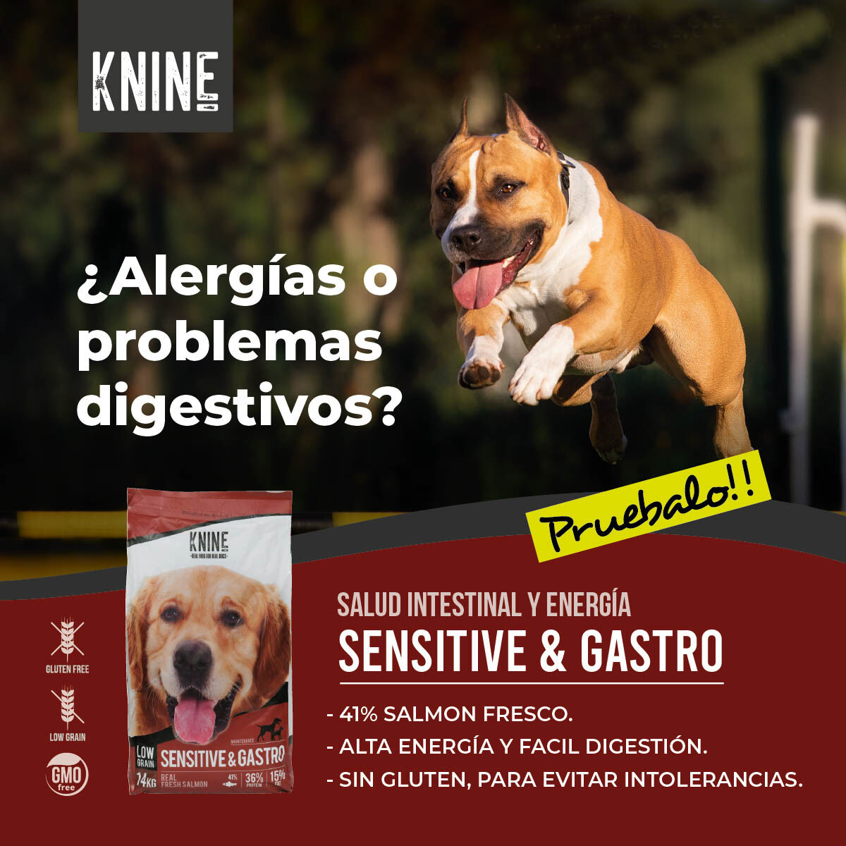 Comida para perros **KNINE Sensitive&Gastro**, salm&oacute;n, gluten free 14 kg., , large Imagen numero 5