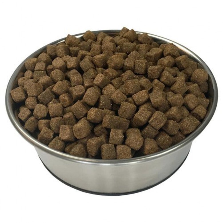 Comida seca premium Adult Active para perro sabor Pollo y Pescado, , large image number null