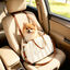PawHut Asiento Coche Perros Crema, , large indicador imagen numero 2