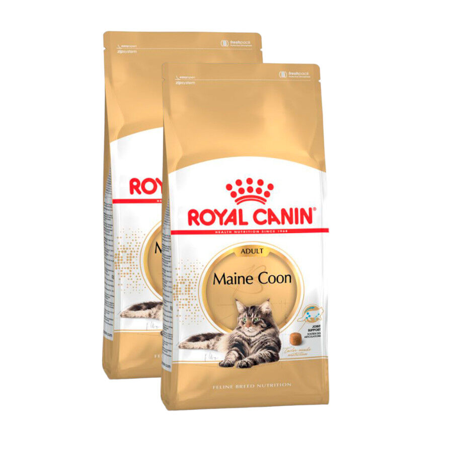 Royal Canin Adult Maine Coon pienso para gatos
