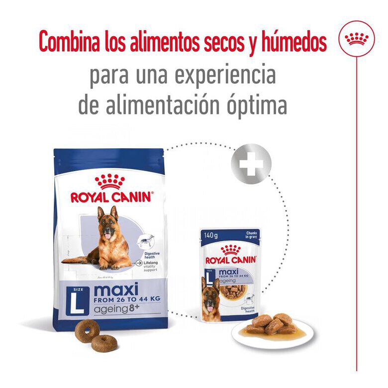 15 kg Royal Canin Maxi Ageing 8+ pienso para perros, , large Imagen numero 9