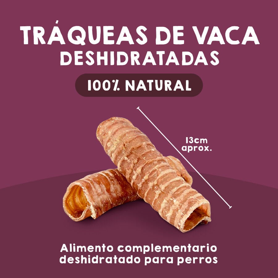 Tr&aacute;queas de ternera deshidratadas. Chuches para perros 100% Natural. MAIKAI PETS. 2 UDS., , large Imagen numero 2