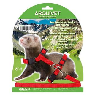 Petral para hurones color Rojo