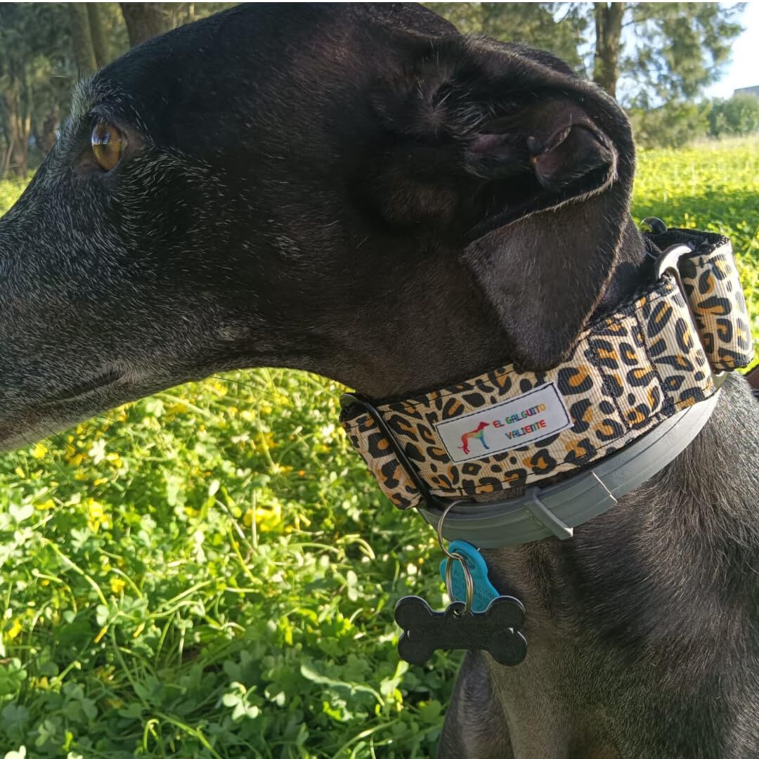 EGV - Collar Martingale 4 cm ancho, Collar galgo hecho a mano en Espa&ntilde;a (Leopardo), , large Imagen numero 4