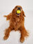 FOFOS Bola Cross Mighty Soft para Perros &ndash; Suave, con Rebote y Flotante, , large indicador imagen numero 3