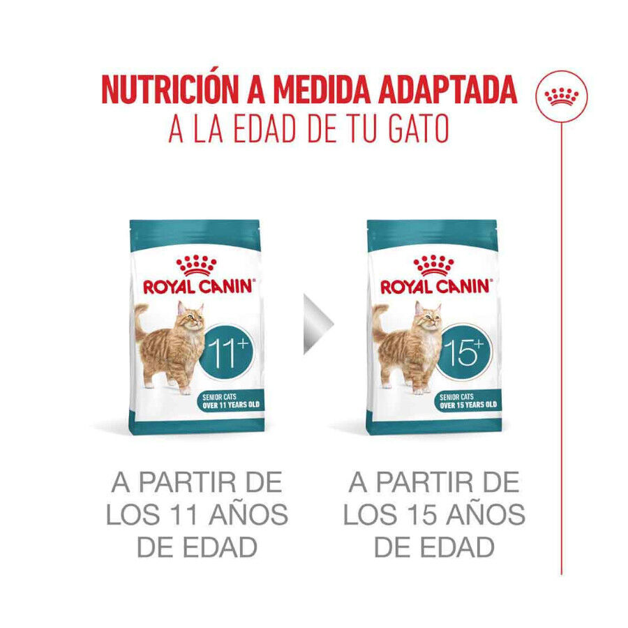 4 kg Royal Canin Ageing 11+ pienso para gatos, , large Imagen numero 13