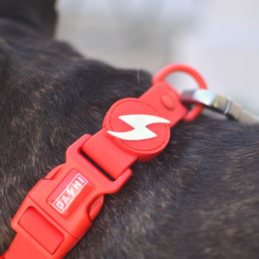 Dashi colorflex collar de TPU rojo para perros, , large Imagen numero 3