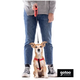 Gotoo Correa extensible roja para perros
