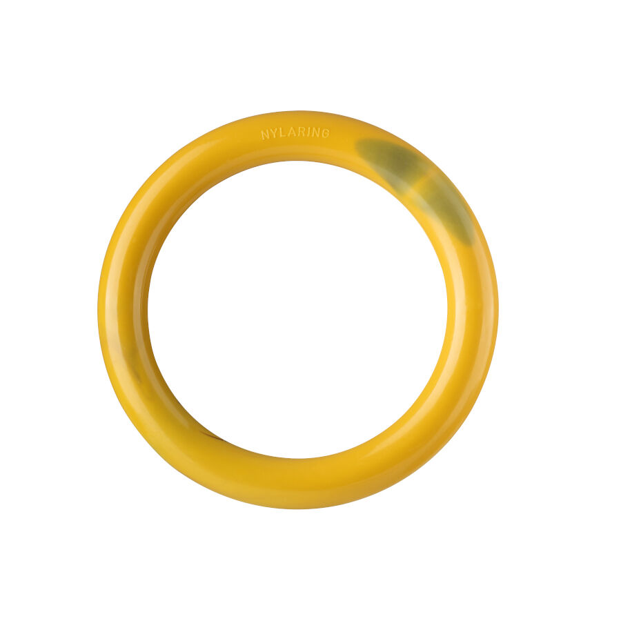 Nylabone Extreme Chew Ring Mordedor Redondo Sabor a Hamburguesa para perros, , large Imagen numero 1