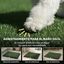 PawHut Inodoro para Perros Negro, , large indicador imagen numero 4