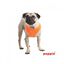 Arnés para perros Puppia Neon Soft color naranja, , large indicador imagen numero 3